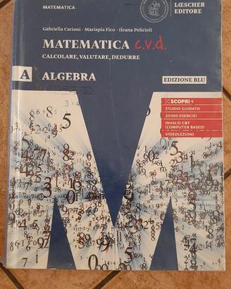 MATEMATICA C.V.D. - A - ALGEBRA