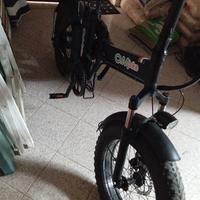 bici elettrica 