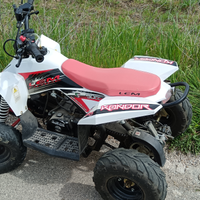Quad LEM 90cc