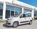 fiat-panda-1-3-mjt-neopatentati