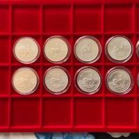 KRUGERRAND - Serie Completa -ONCE - Argento 999