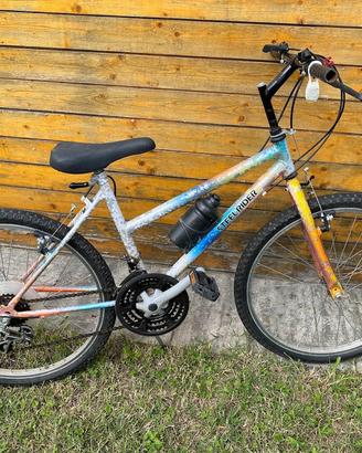 Bicicletta