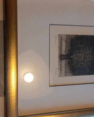 quadro