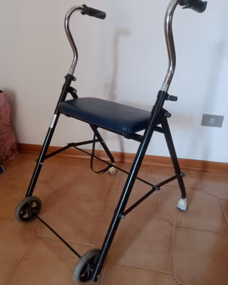 Deambulatore 2 ruote