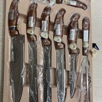 Set di coltelli da cucina Van  Meister