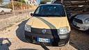 fiat-panda-1-2-4x4
