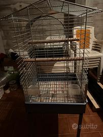 Gabbia pappagalli