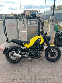 Benelli Leoncino 500