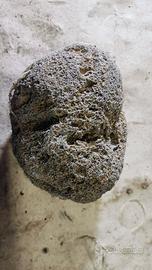 pietra vulcanica Etna 