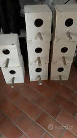 Nidi Cocorite, Inseparabili, Calopsite ecc