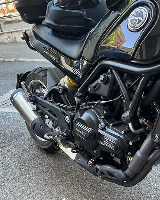 Benelli leoncino 500 trail 2022