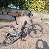 E montain bike Raymon 