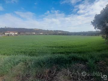 Terreno edificabile ed agricolo