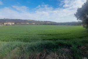 Terreno edificabile ed agricolo