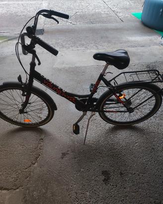 Bicicletta unisex