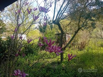 Terreno con acqua e luce zona pianeggiante
