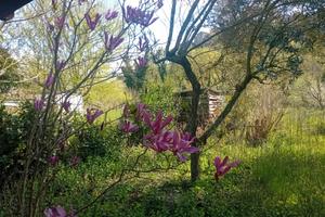 Terreno con acqua e luce zona pianeggiante