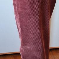 pantaloni di vellutto