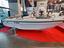 Immagine 5