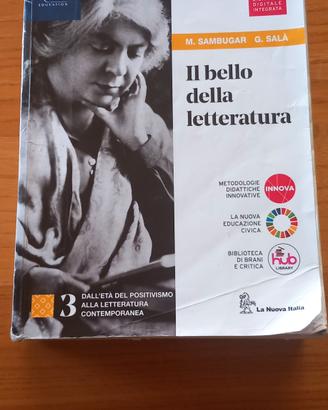 Il bello della letteratura