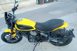 Ducati Scrambler 800 Icon Yellow 