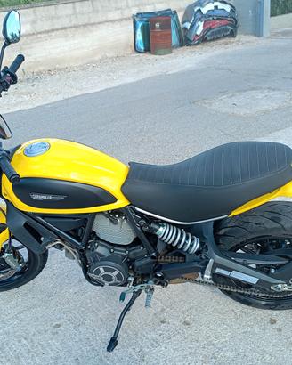 Ducati Scrambler 800 Icon Yellow 