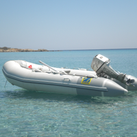 Gommone tender