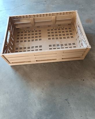cassette per frutta 