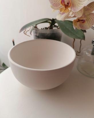 Vaso in Terracotta per Piante e piante grasse  