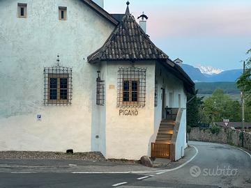 APPARTAMENTO IN CONDIVISIONE da settembre