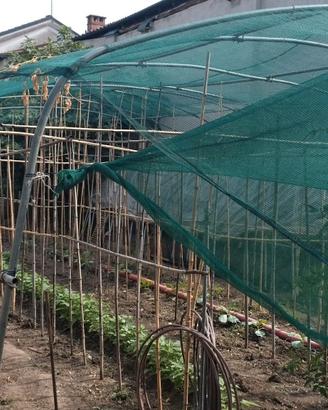 giardino, struttura per serra