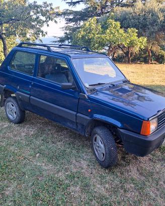 Panda 4x4 con GANCIO TRAINO + 2 CAMBI REVISIONATI