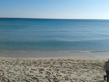 Casa a 100m spiaggia disponibile dal 01 ottobre
