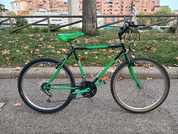 Mountain Bike Vintage