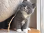 Immagine 1