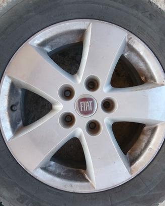 Cerchi R 17