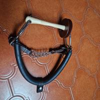 Equitazione tandem con Nathe