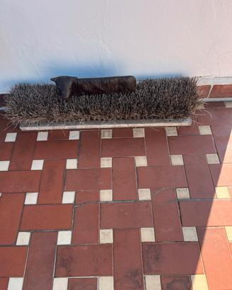 Pulisci scarpe