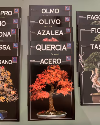 Riviste e monografie sulla coltivazione dei bonsai