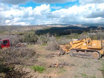Terreno agricolo con unità collabente