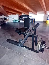 Leg Extension/Curl Kingsgym - come nuova