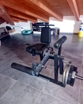 Leg Extension/Curl Kingsgym - come nuova
