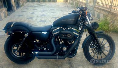 Harley Davidson 883 Iron