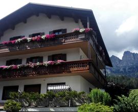 LAST MINUTE App. nel Cuore delle Dolomiti