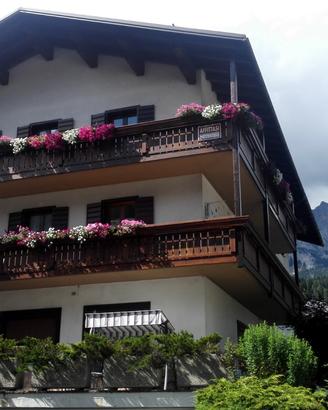 App. nel Cuore delle Dolomiti