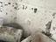 Immagine 28