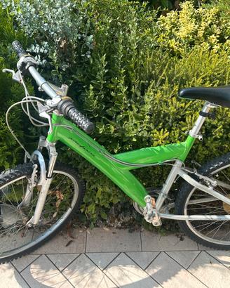 Bici-Mountain Bike Pininfarina Verde – Usata.