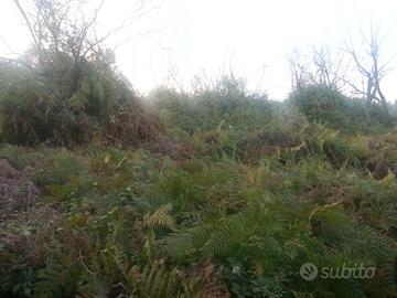 RGE 85/2012 Tribunale Patti - Lotto 2)