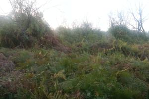 RGE 85/2012 Tribunale Patti - Lotto 2)