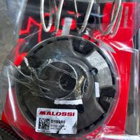 Variatore Malossi Multivar e Cinghia Malossi